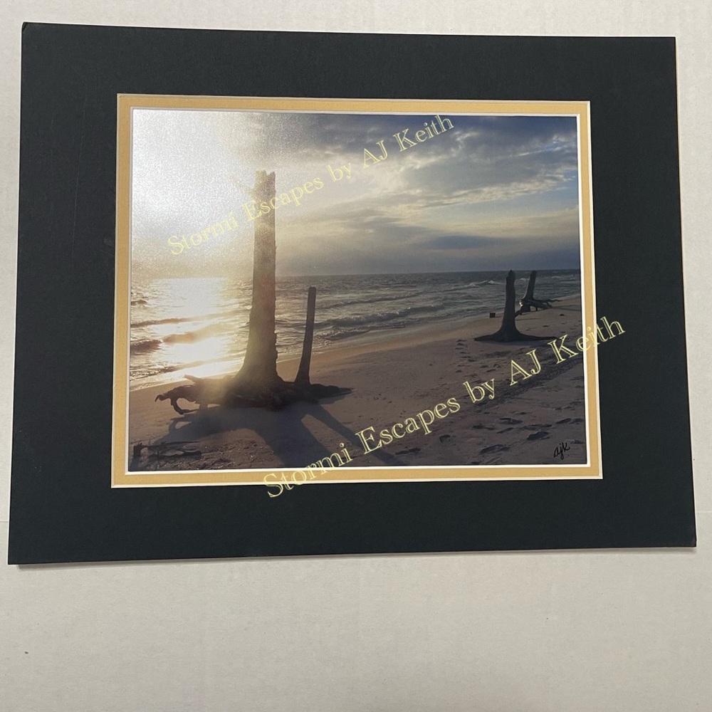 Mexico Beach, FL on the Gulf of Mexico      photo ready to frame and hang